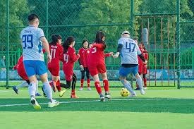 棒球与社区复兴：堪萨斯城黑人联盟博物馆的文化桥梁作用